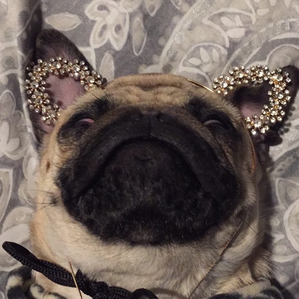 Forever 21 Jeweled Cat Ear Headband